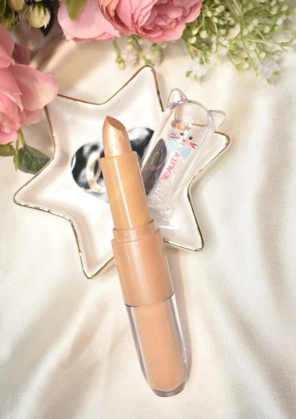 Concealer + highlighter cute pack